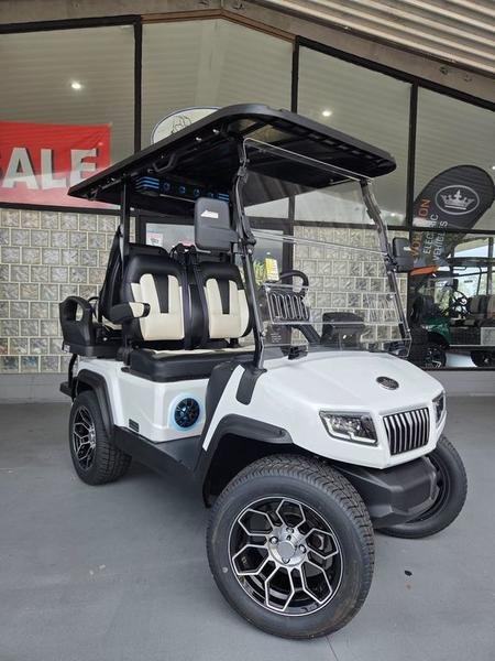 2025 Evolution D5 Ranger 2+2 Plus Arctic Gray | Cart with CarPlay